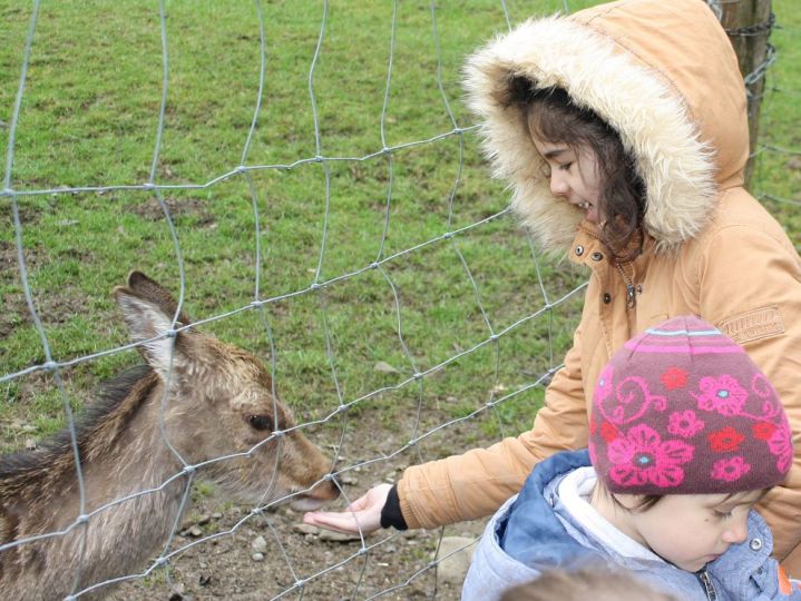 Die Vorstufe besucht den Warsteiner Wildpark