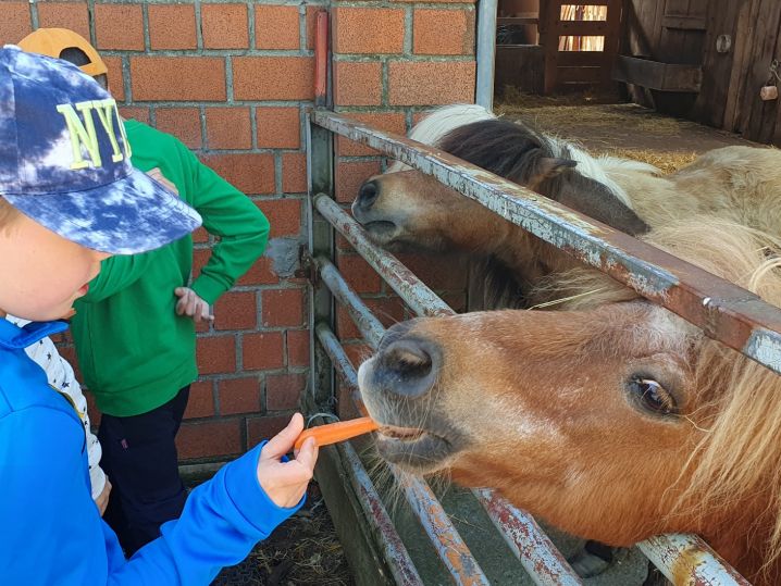 Vorstufe besucht einen tollen Bauernhof