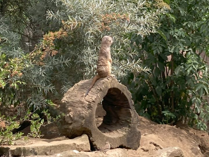 Besuch im Zoo in Gelsenkirchen