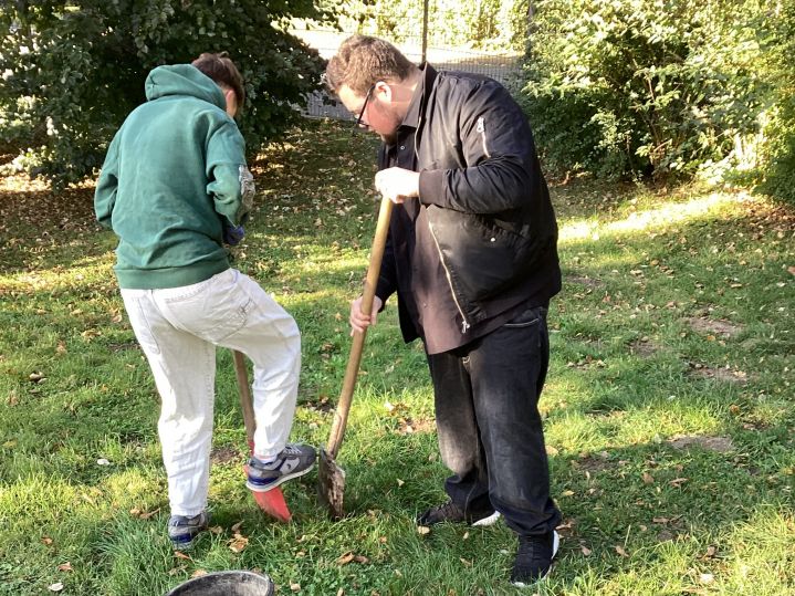 Baumpflanz-Challenge an unserer Schule 