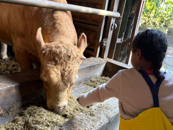Vorstufe auf dem Bauernhof