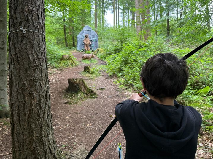 Auf der Pirsch im Briloner Wald